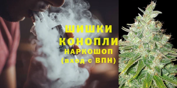 spice Горнозаводск