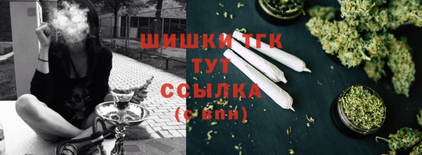 хмурый Горно-Алтайск