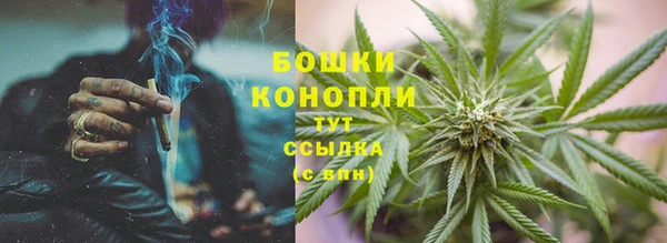spice Горнозаводск